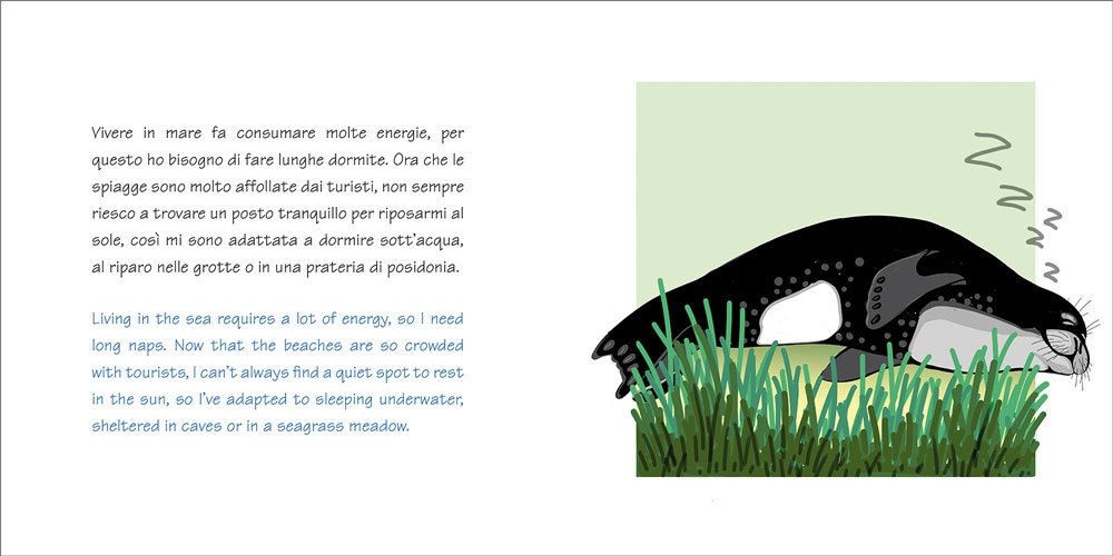 NAV123 9788836103515 SEALLY FOCA MONACA NARRATIVA BAMBINI IN02